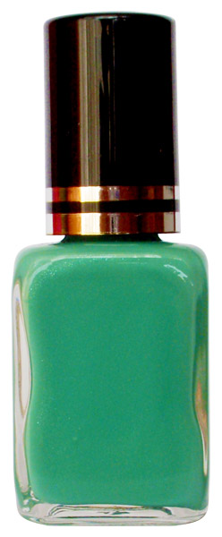 Four Seasons Lak na nehty FS odstín 68 metalický lak 14 ml Four Seasons Lak na nehty FS odstín 68 metalický lak 14 ml - Péče o ruce Laky na nehty Laky na nehty Cedro - Four Seasons